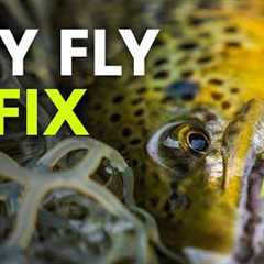 How to Fish Dry Flies and Actually Catch Trout — Fly Fishing for Beginners | Ep. 191