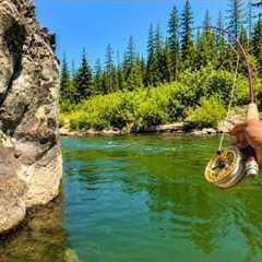 My Biggest Brown Trout EVER! (Fly Fishing)