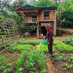 FULL VIDEO / 30 Days: Farm Renovation & Building Process (Free) | Growing - Harvesting_Lý dao..