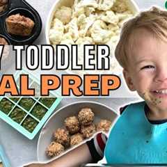 What My Toddler Eats in a Week (vegan meal ideas!)