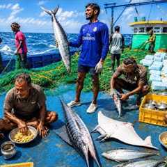 🤩Biggest Catches Yet‼️Thirteenth Day at Sea! 🌊🐟 Still Far from Shore…The Fishing Journey..