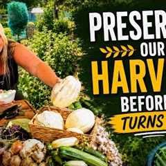 Prepping the Bungalow Pantry | Preserving Our Harvests | Food Preservation 