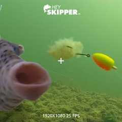 Underwater SPY Camera: Whats Stealing your Fishing Bait?! (strange fish discovered!)