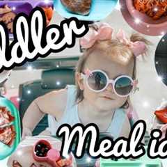 TODDLER MEAL IDEAS AND RECIPES 6  @Mama Tried ​