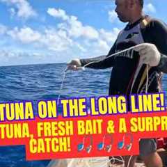 TUNA ON THE LONG LINE! 🎣 Big Tuna, Fresh Bait & a Surprise Catch!