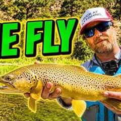 The ONLY Fly I Need