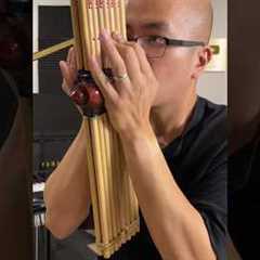 1 second vs 1 YEAR of Khaen Flute!!!