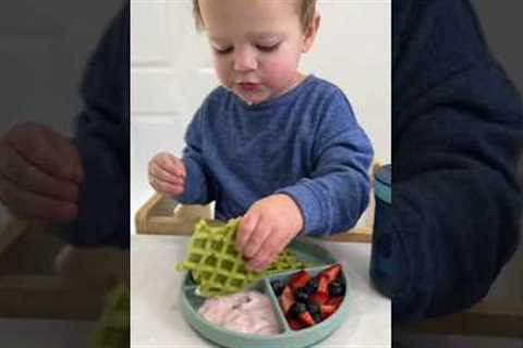 Apple Spinach Waffles | Easy Toddler Breakfast 😋 #momlife #easyrecipe #toddlerfood #breakfast
