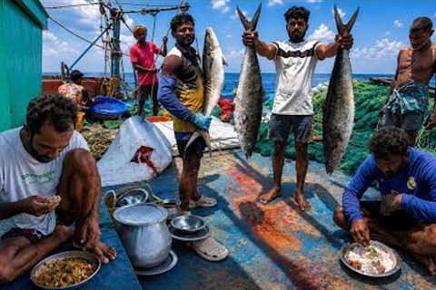 🤩Massive Fish Catch After Days of Waiting! ‼️12 Days in the Middle of the Ocean – Fishing Journey‼️