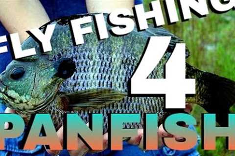 How to Fly Fish for Panfish   Beginner's Fly Fishing