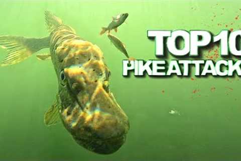 TOP 10 Underwater Pike Attacks ! Best fishing actions of 2024 in 4K quality | Underwater World