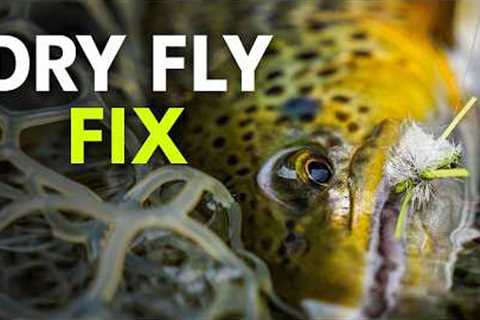 How to Fish Dry Flies and Actually Catch Trout — Fly Fishing for Beginners | Ep. 191