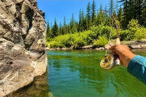 My Biggest Brown Trout EVER! (Fly Fishing)