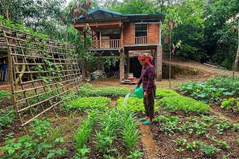 FULL VIDEO / 30 Days: Farm Renovation &amp; Building Process (Free) | Growing - Harvesting_Lý dao..