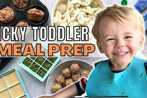 What My Toddler Eats in a Week (vegan meal ideas!)