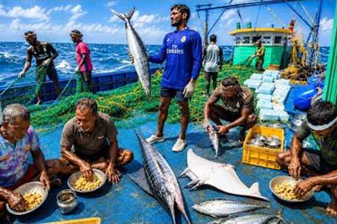 🤩Biggest Catches Yet‼️Thirteenth Day at Sea! 🌊🐟 Still Far from Shore…The Fishing Journey..