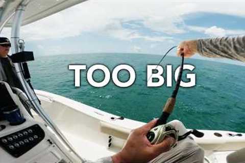 So you wanna catch BIG FISH? | Catch and Cook | Texas Offshore Fishing