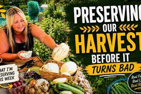 Prepping the Bungalow Pantry | Preserving Our Harvests | Food Preservation 