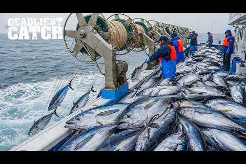 Tuna Fishing: Inside the Billion-Dollar Tuna Empire | Fishing Documentary