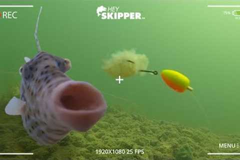 Underwater SPY Camera: Whats Stealing your Fishing Bait?! (strange fish discovered!)