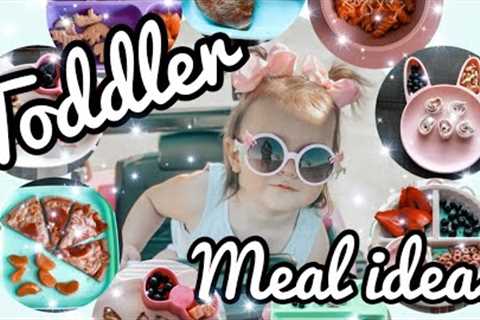 TODDLER MEAL IDEAS AND RECIPES 6  @Mama Tried ​
