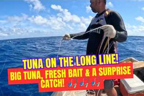 TUNA ON THE LONG LINE! 🎣 Big Tuna, Fresh Bait & a Surprise Catch!