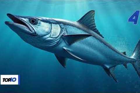 Beginner's Guide to Saltwater Fishing: Best Species, Locations & Seasons
