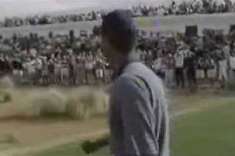 Tiger Woods   Signature Shots.wmv